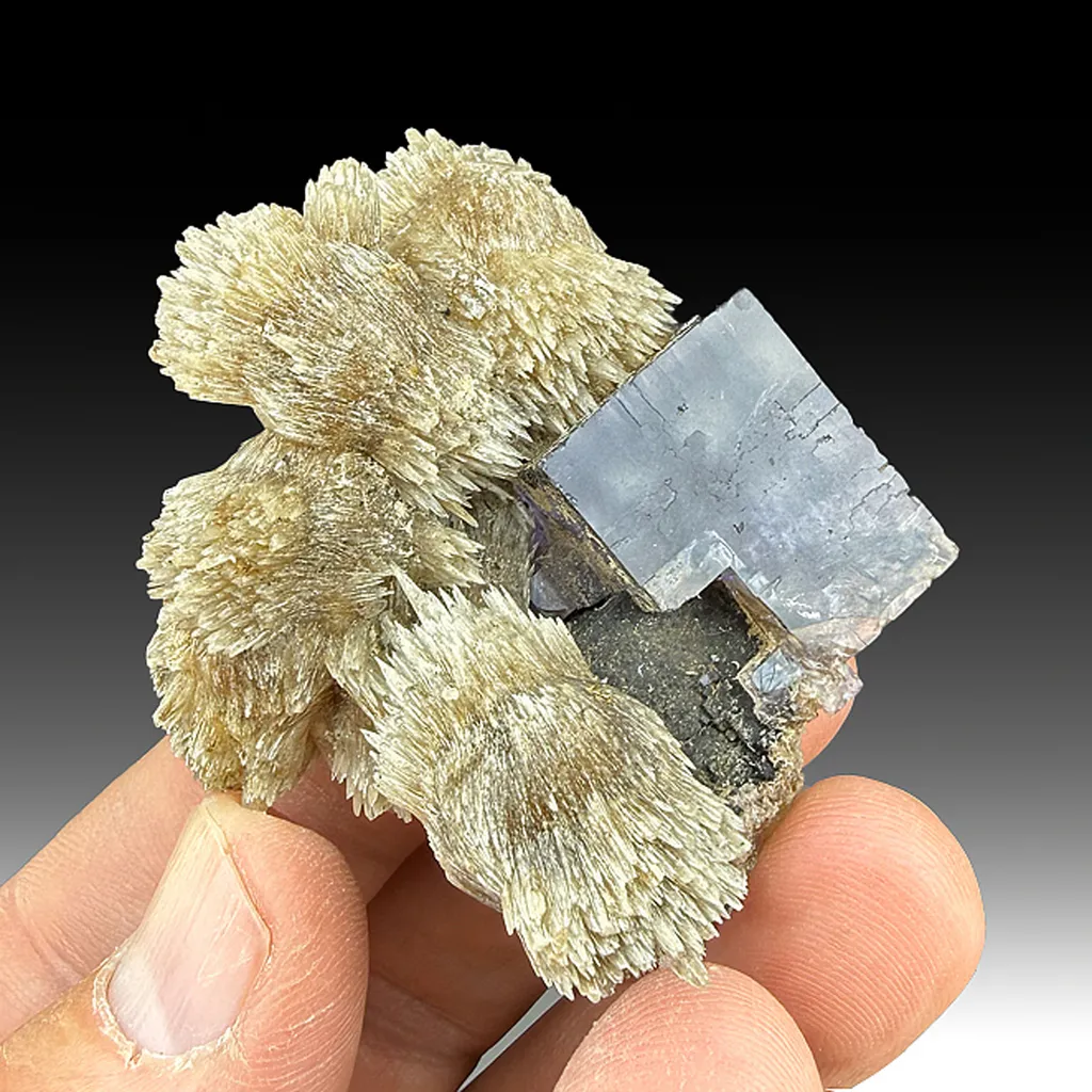 Fluorite with Calcite image
