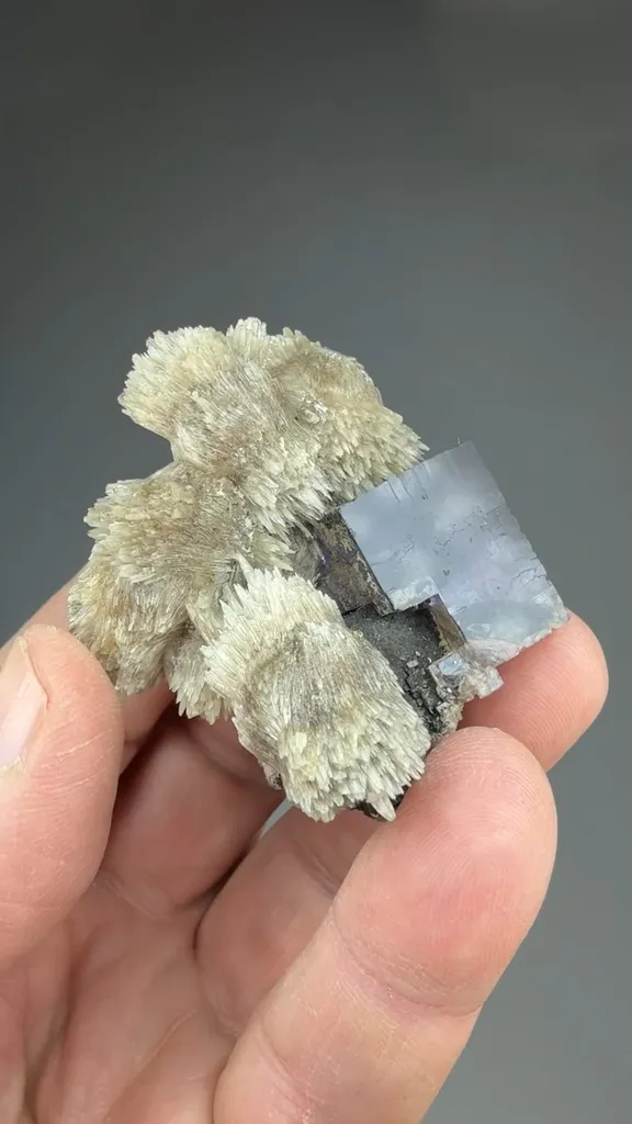 Fluorite with Calcite - image 3