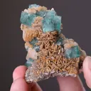Fluorite with Calcite - image 1