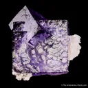 Fluorite with Calcite - image 5