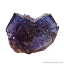 Fluorite with Calcite - image 1