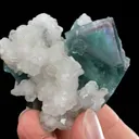 Fluorite with Calcite - image 2
