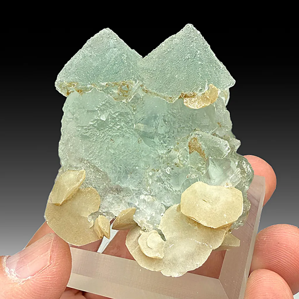 Fluorite with Calcite (758) image