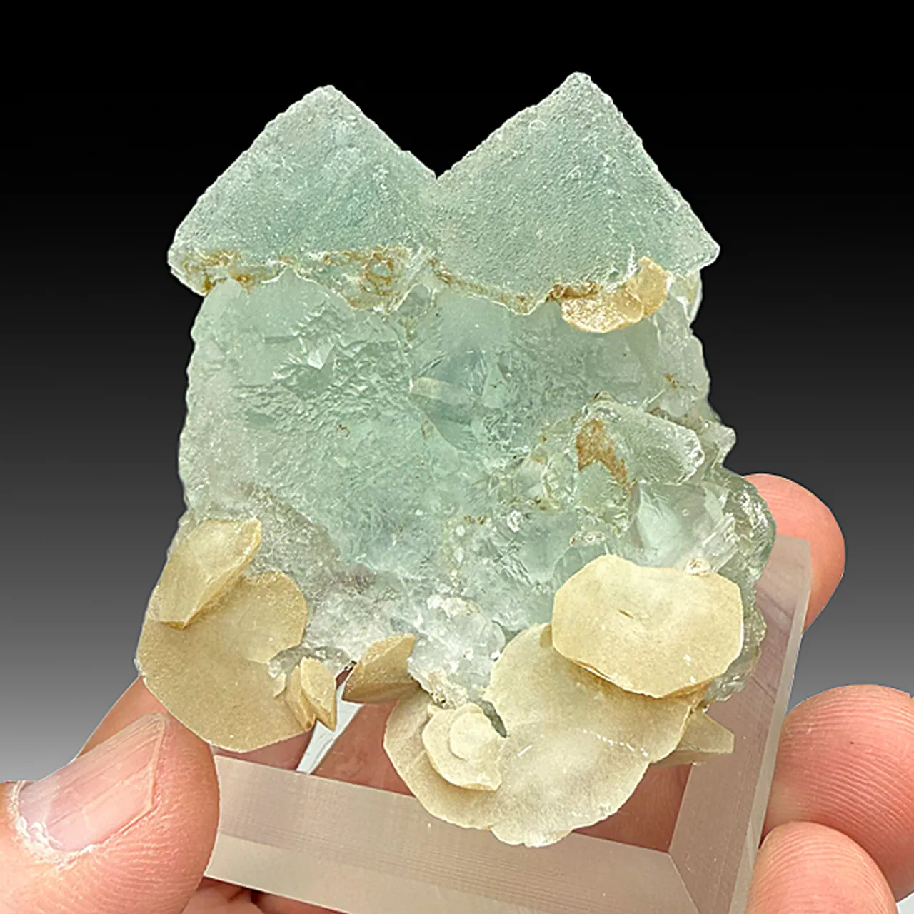 Fluorite with Calcite (758) - image 1