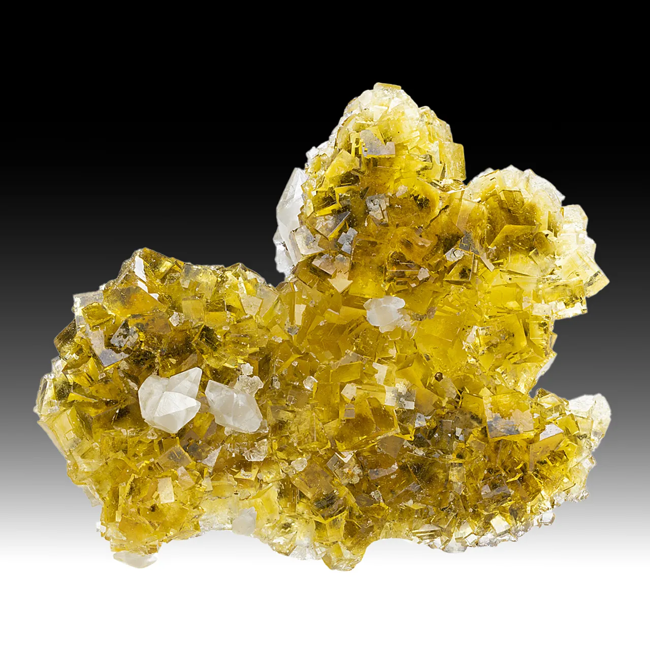 Fluorite with Calcite - image 1