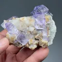 Fluorite with Calcite - image 2