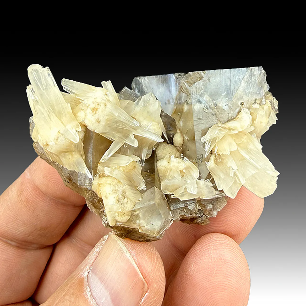 Fluorite with Calcite - image 1