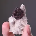 Fluorite with Calcite - image 2