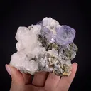 Fluorite with Calcite and Pyrite - image 1