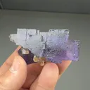 Fluorite with Calcite, Chalcopyrite - image 2