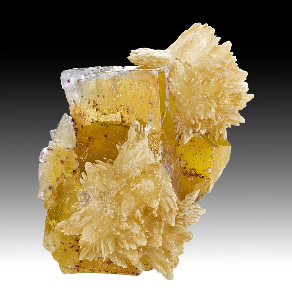 Fluorite with Calcite image