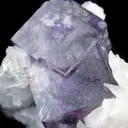 Fluorite With Calcite - image 3