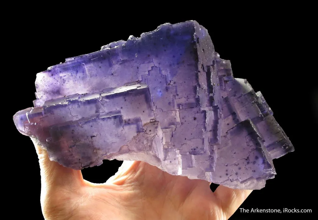 Fluorite with Calcite (fl) and Pyrite image