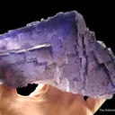 Fluorite with Calcite (fl) and Pyrite - image 1