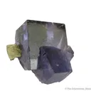 Fluorite with Calcite (fluorescent) - image 4