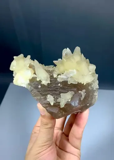 specimen video