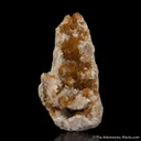 Fluorite with Calcite on jura limestone - image 2