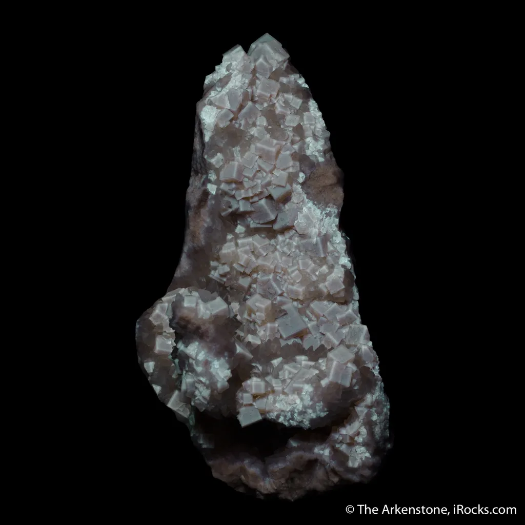 Fluorite with Calcite on jura limestone - image 5