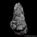 Fluorite with Calcite on jura limestone - image 5