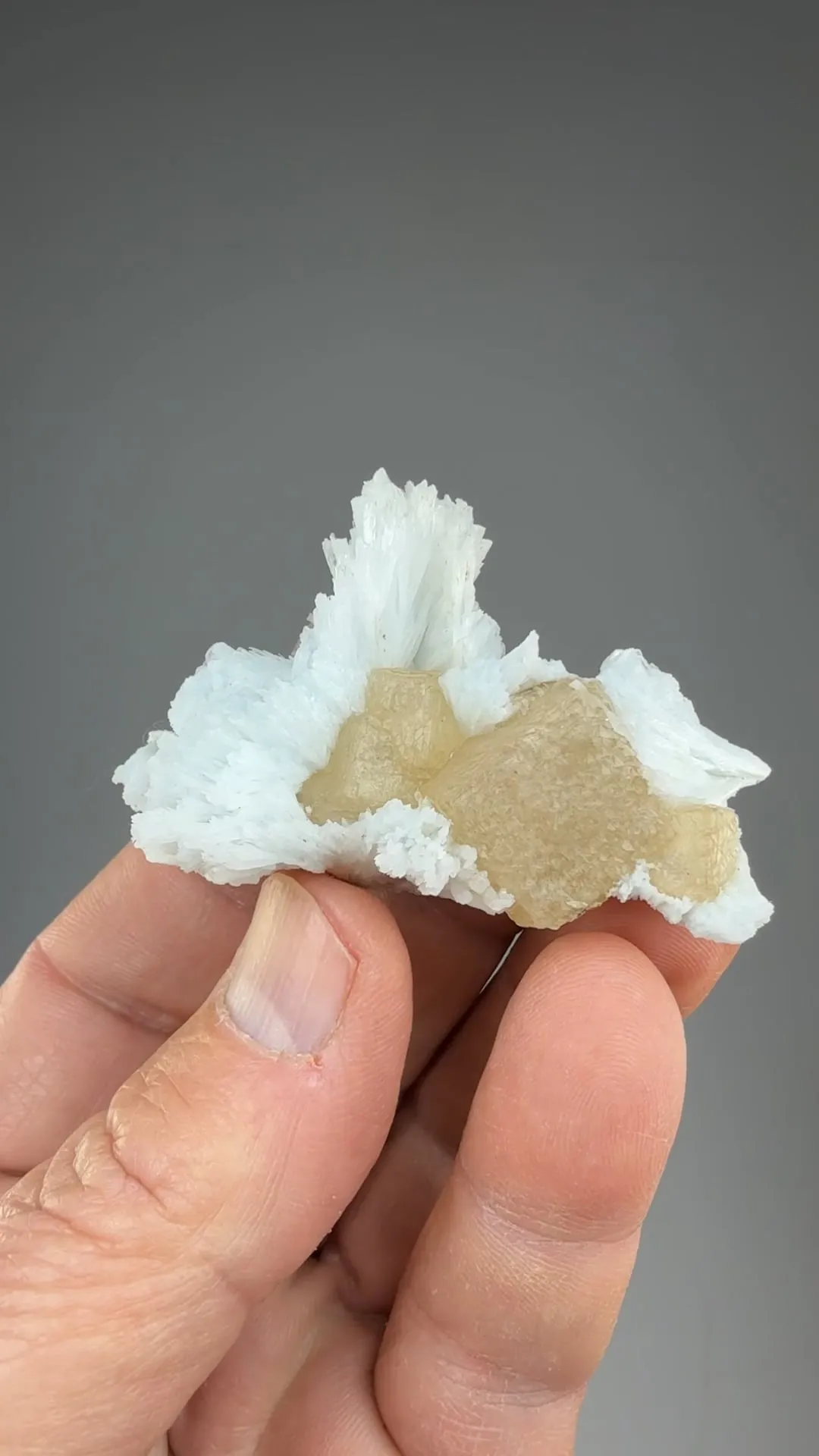 Fluorite with Celestine - image 2