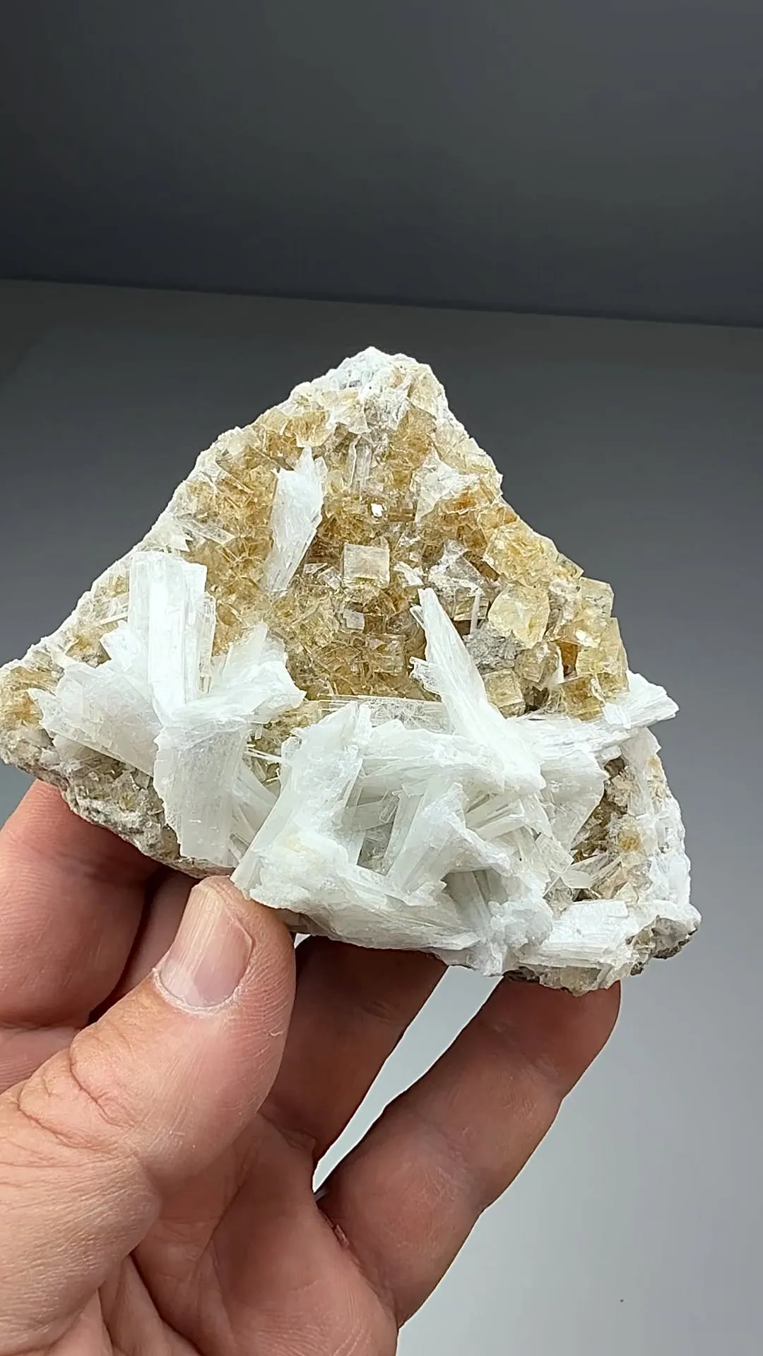 Fluorite with Celestine (1945) - image 2