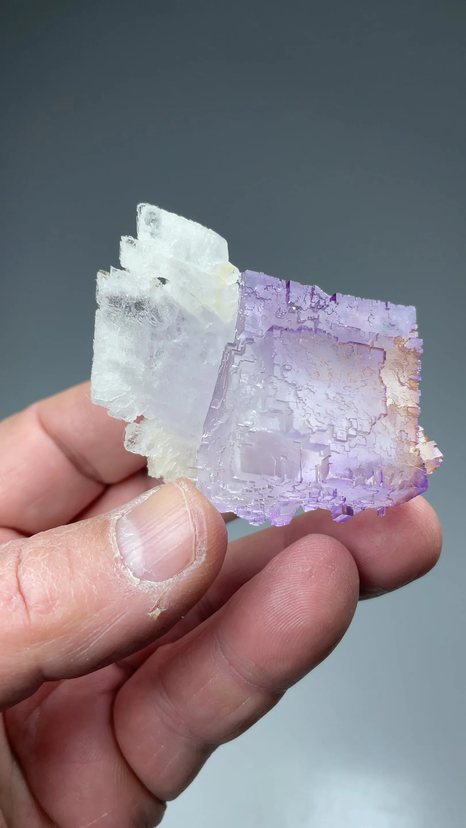 Fluorite with Celestine - image 2