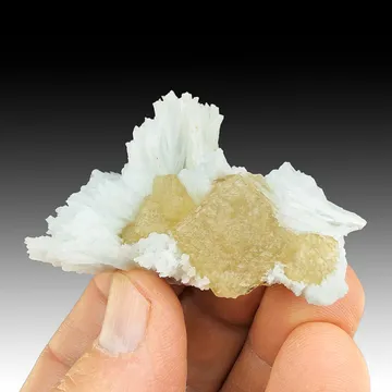 Fluorite with Celestine