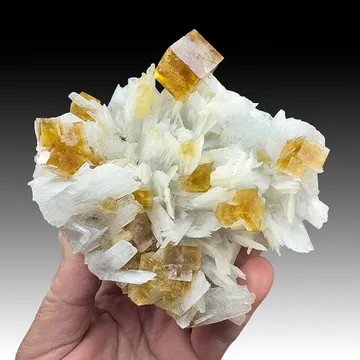 Fluorite with Celestine