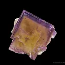 Fluorite With Chalcopyrite - image 5