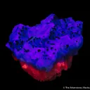 Fluorite with Chalcopyrite - image 3
