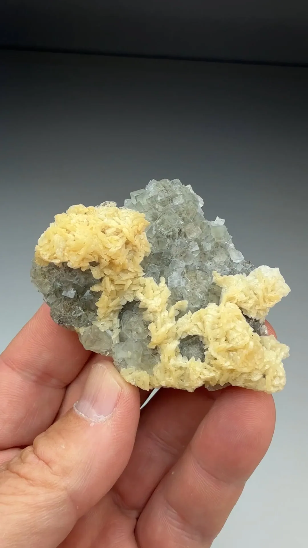 Fluorite with Dolomite, Galena - image 2
