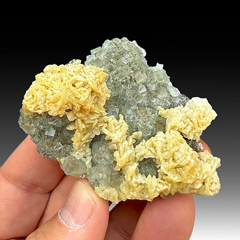 Fluorite with Dolomite, Galena image