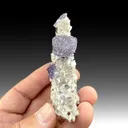 Fluorite with Dolomite, Sphalerite, Quartz - image 1