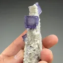 Fluorite with Dolomite, Sphalerite, Quartz - image 2