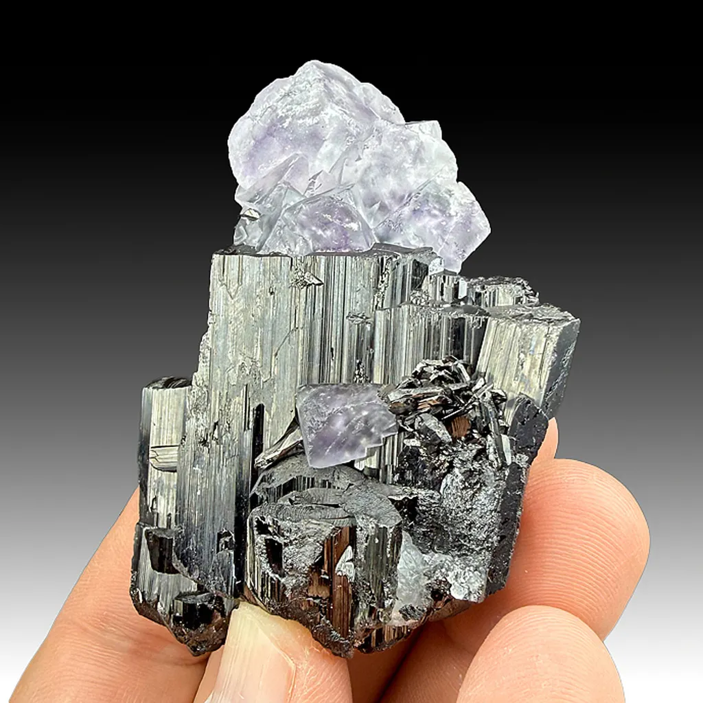 Fluorite with Ferberite image