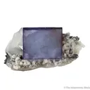 Fluorite with Ferberite, Quartz and Calcite - image 2