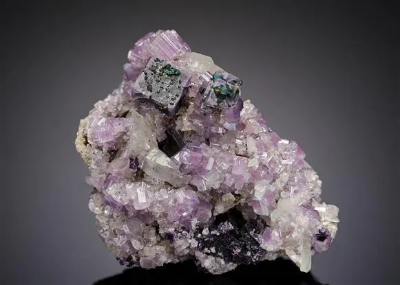 Fluorite with Fluorapatite Chalcopyrite and Quartz image
