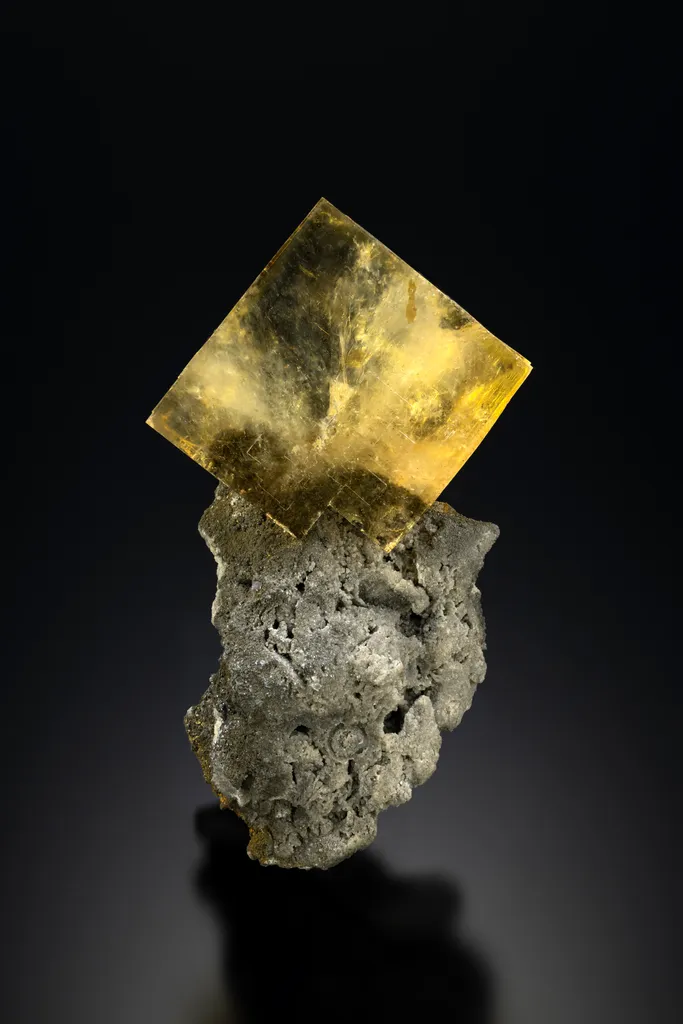 Fluorite (with Fossil!) image