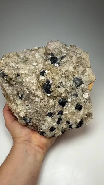 Fluorite with Galena