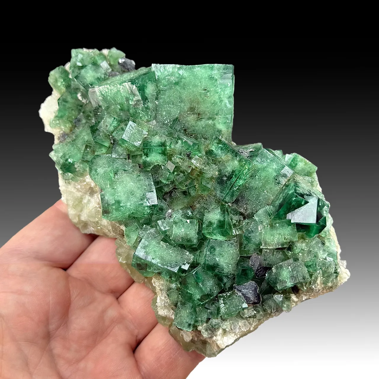 Fluorite with Galena - image 1