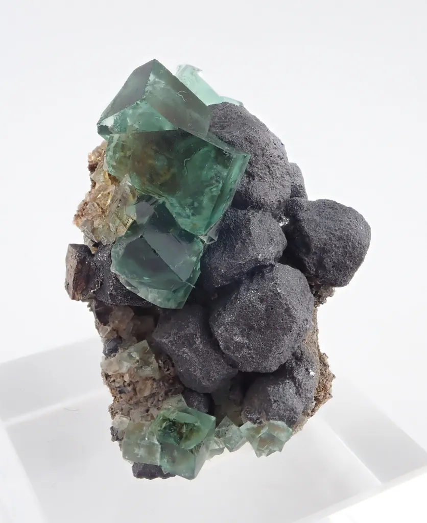 Fluorite with Galena image