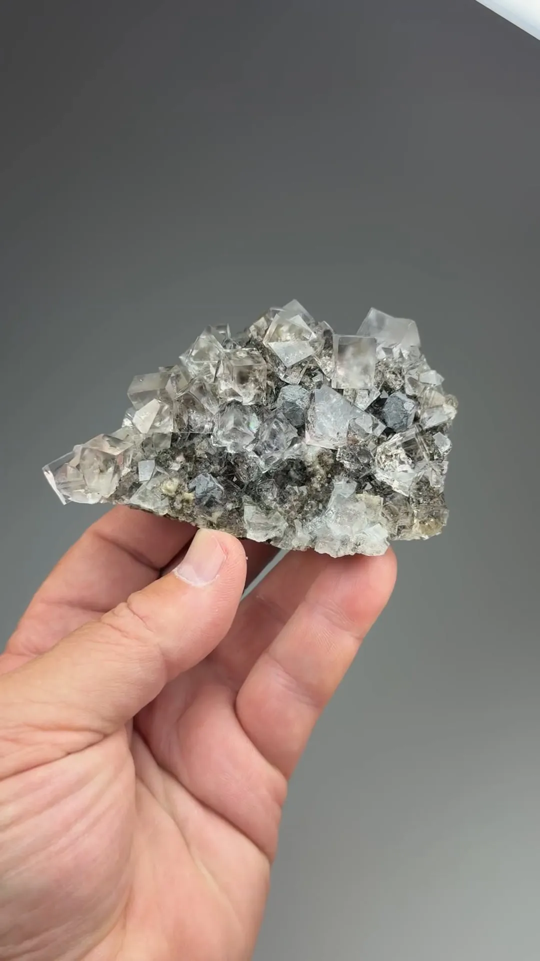 Fluorite with Galena - image 2
