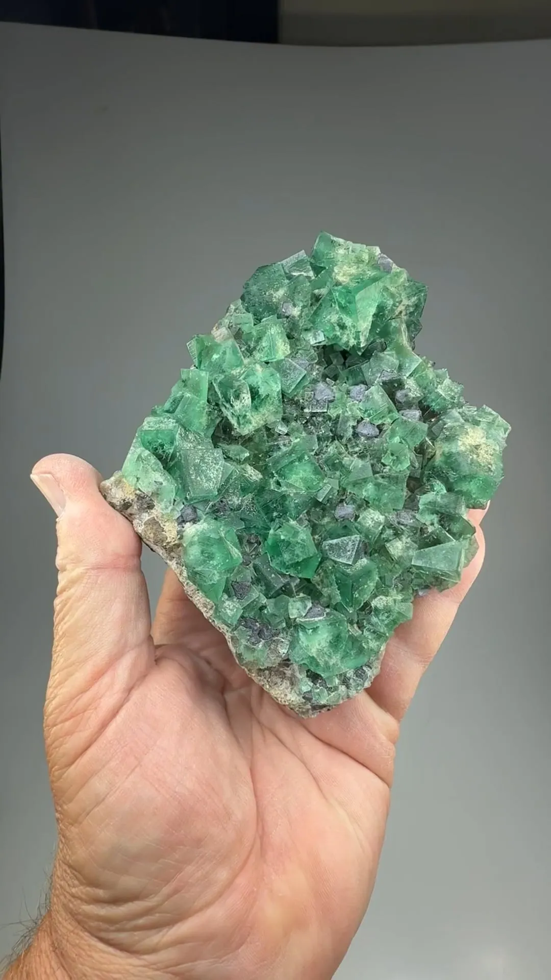 Fluorite with Galena - image 2