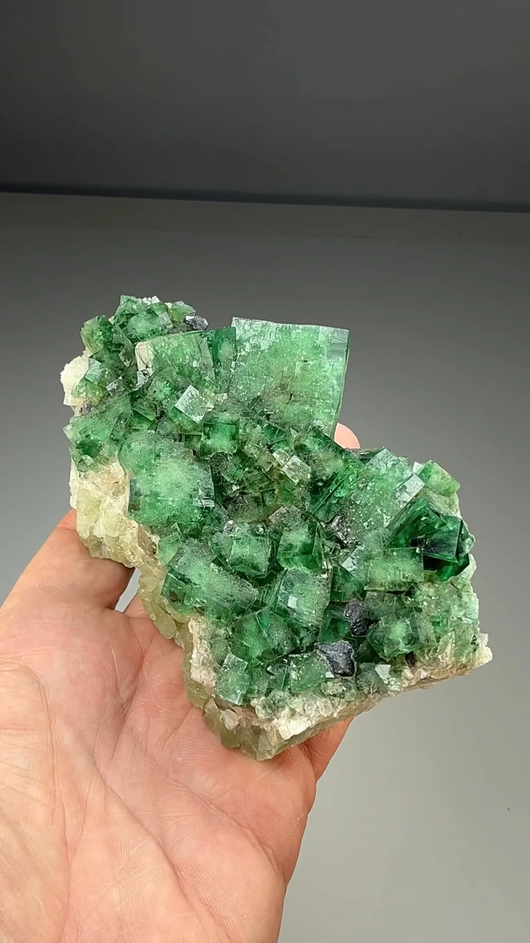 Fluorite with Galena - image 2