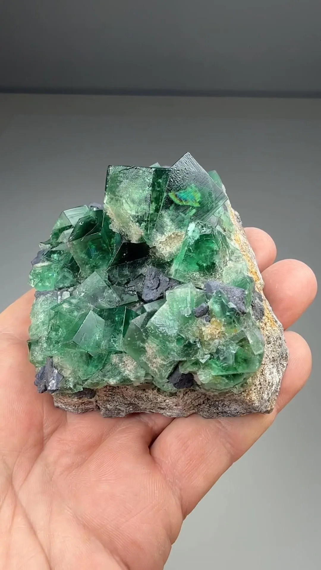 Fluorite with Galena - image 2