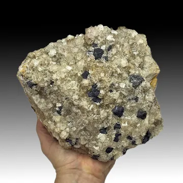 Fluorite with Galena