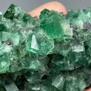 Fluorite with Galena - image 2