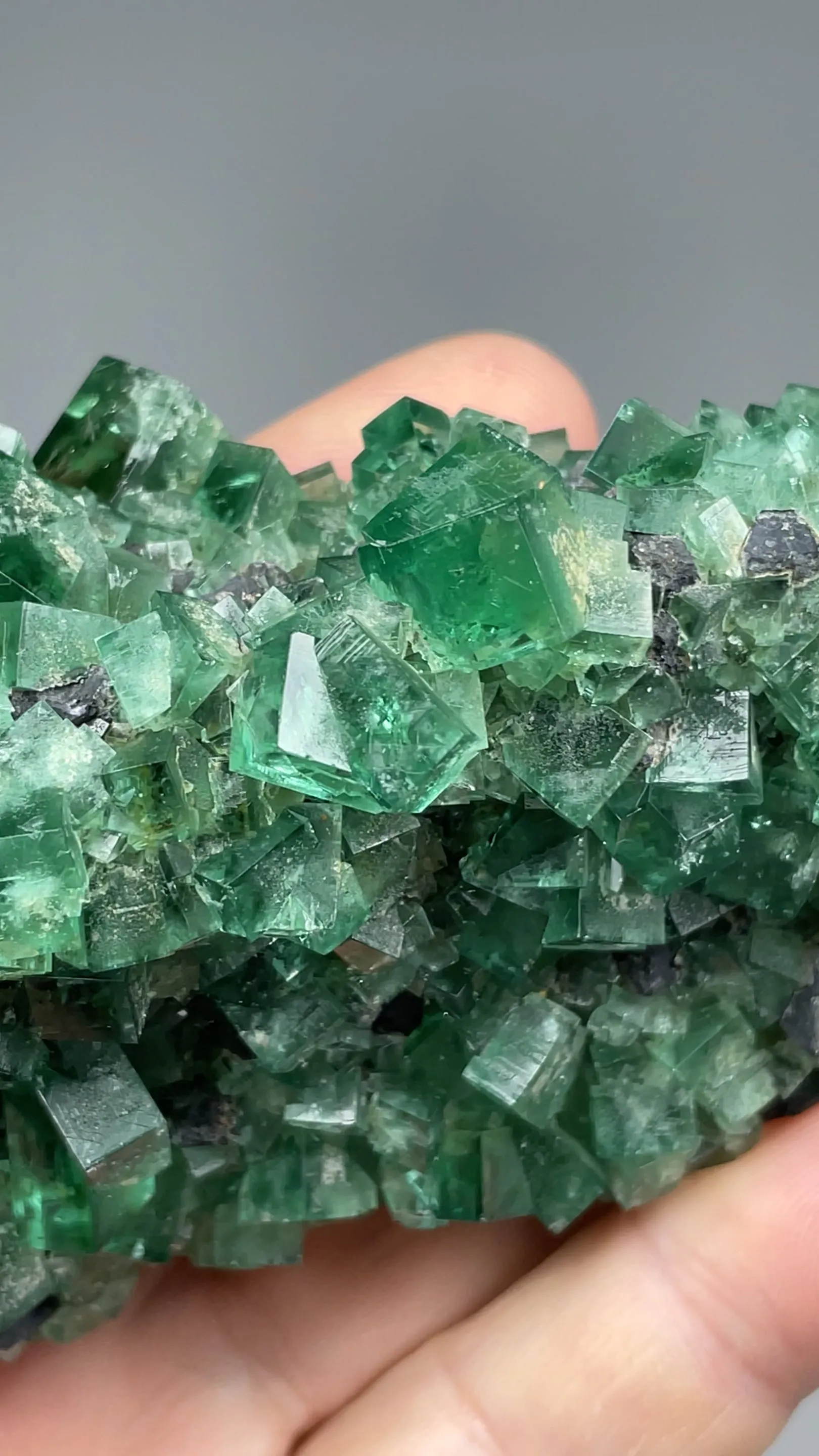 Fluorite with Galena - image 2