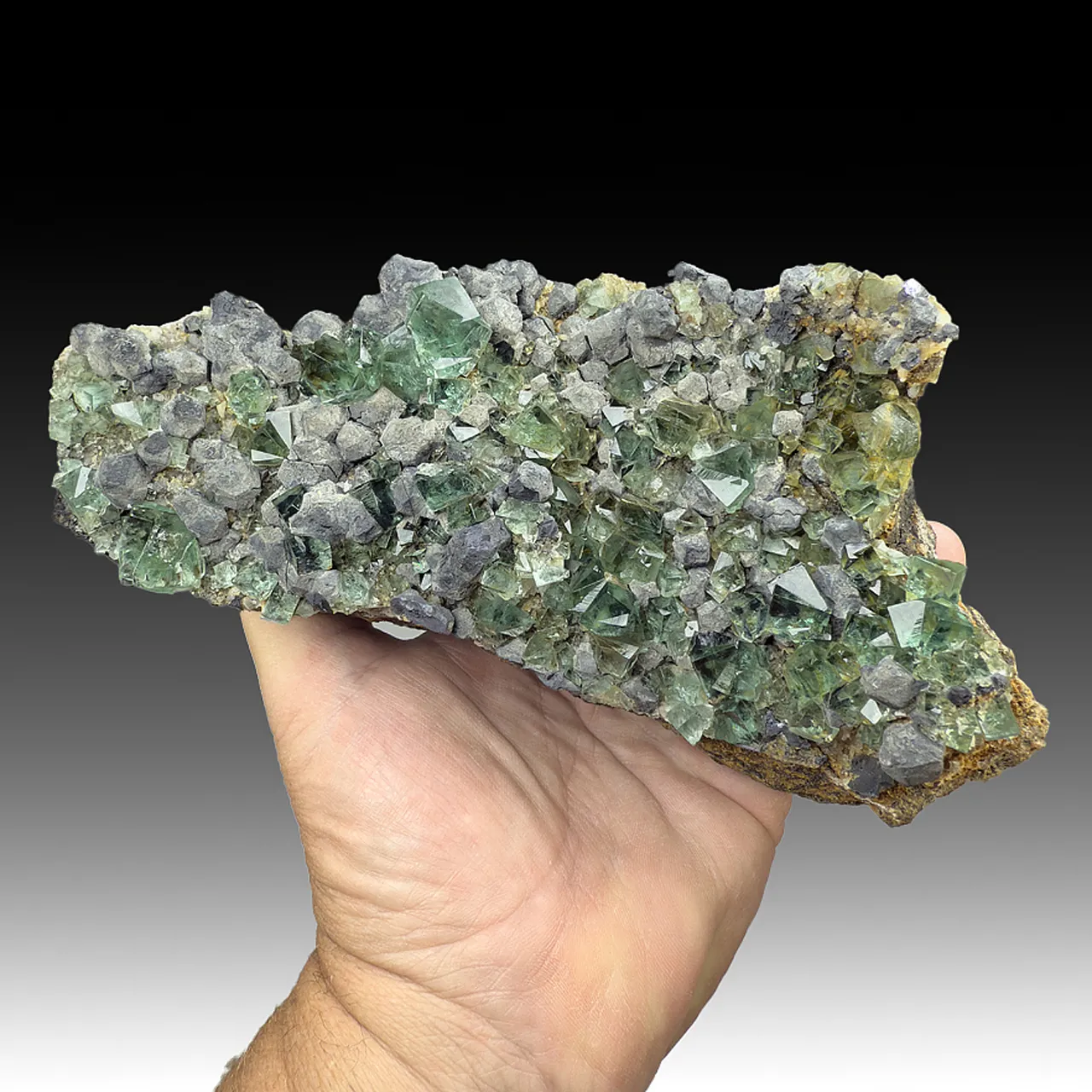 Fluorite with Galena - image 1