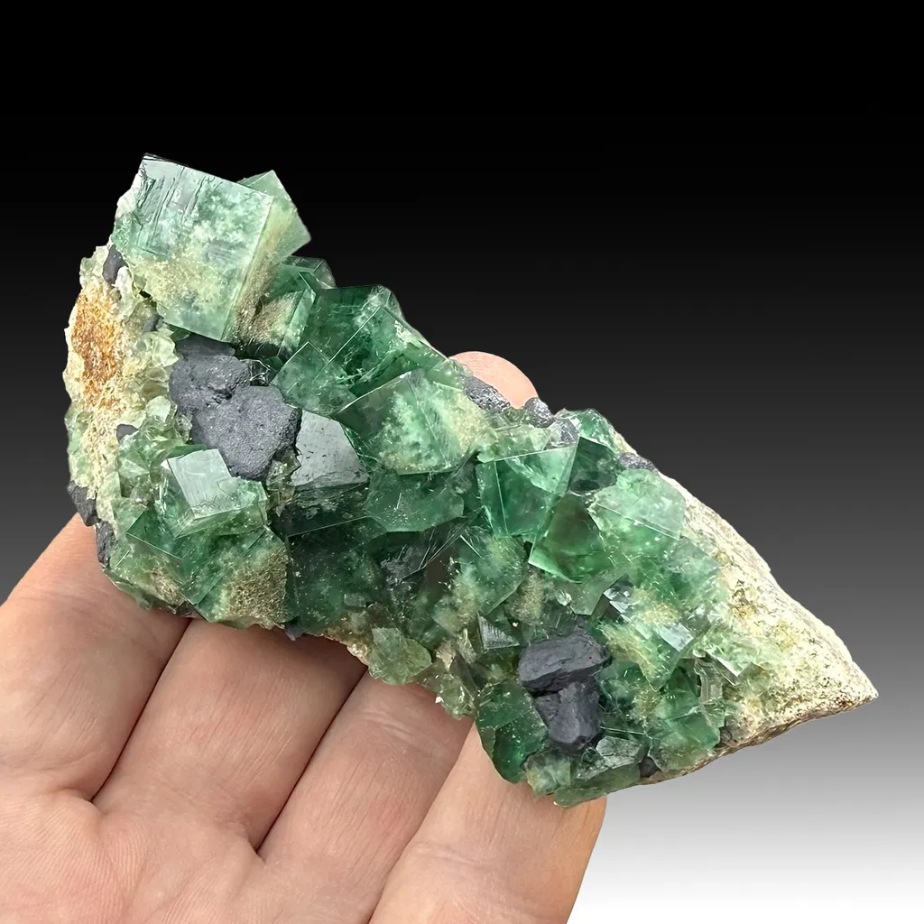 Fluorite with Galena image